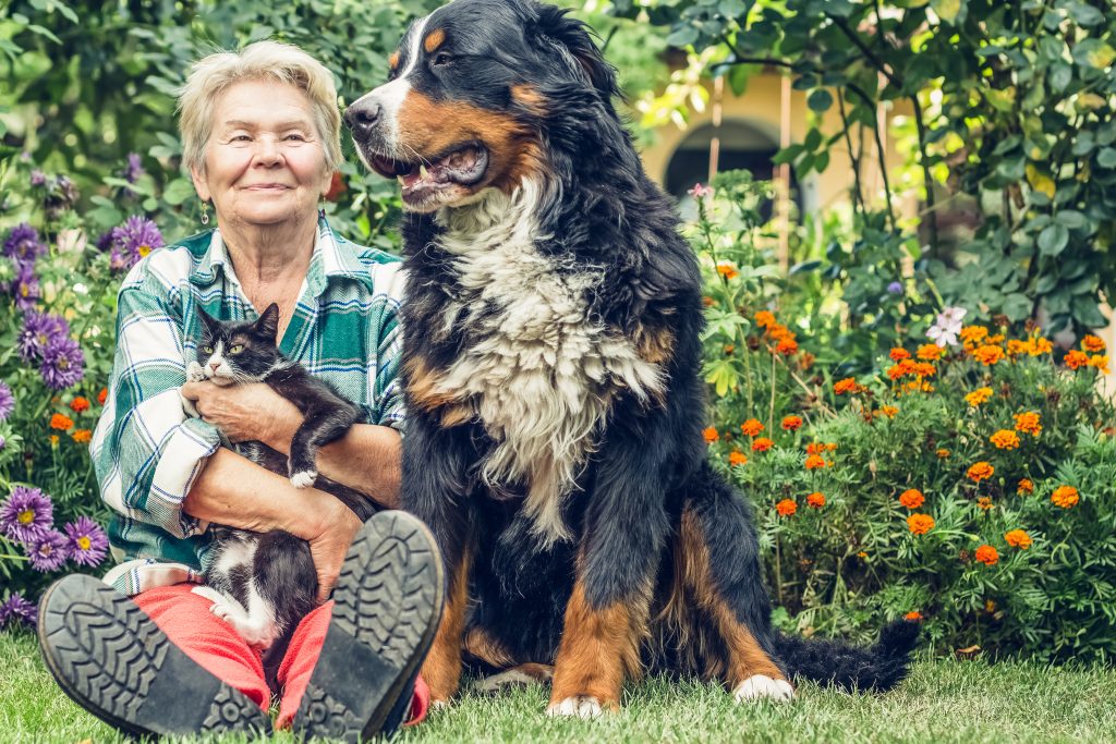 Pet planning Arkansas